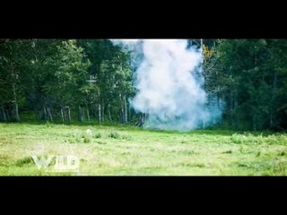 Tannerite Explosion Long Range Target Hunting Practice