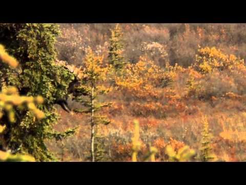 Nosler's Magnum TV - Alaska on Edge Part 3