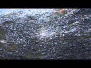 Dead Down Wind's Live the Wild Life - Alaska Part 8