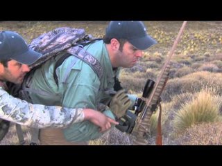 Swarovski Optik Quests with the Eyes of a Hawk - Patagonia Stag