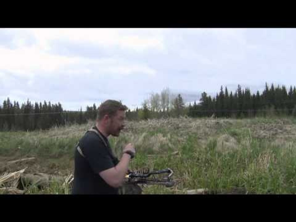 The Real Canadian Joes - Lady Luck