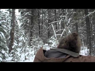 Trigger Effect - In The Beginning