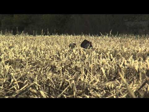 Angler & Hunter Television - Land O' Lakes Turkey