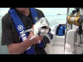 Canadian Sportfishing - Mixed Saltwater Action