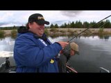 BC Outdoors Sport Fishing - Extraordinary Rainbow Fishing