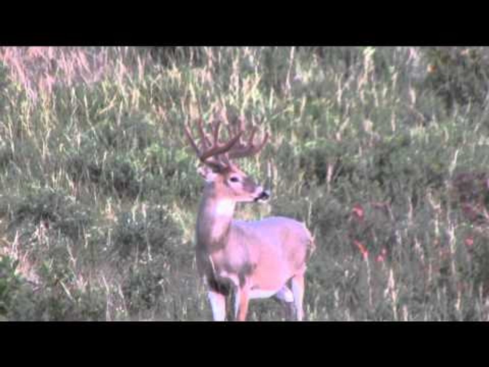 The Replacements - A Look Back
