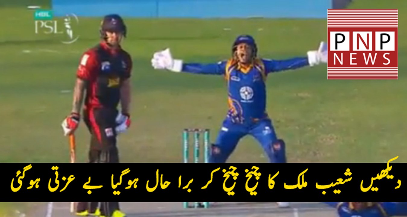 Shoaib Malik Shouting Badly and got Angry as Well| PNPNews.net
