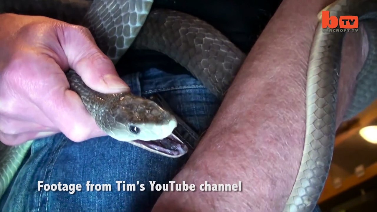 Un homme immunisé au venin de serpent se fait mordre