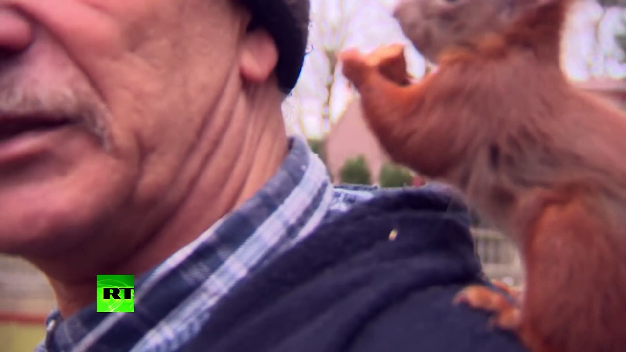 Un homme et un écureuil sont inséparables... Meilleurs amis du monde