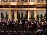 Mozart Sinfonia concertante Kv. 364 (1) Küchl, Koll, Wiener Philharmoniker, Mehta