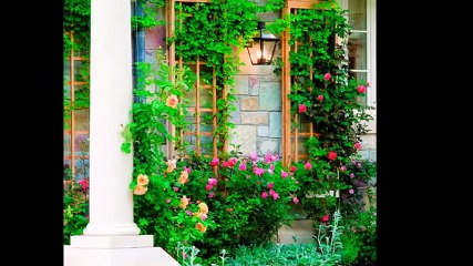 Шпалеры своими руками. Шпалеры для вьющихся растений