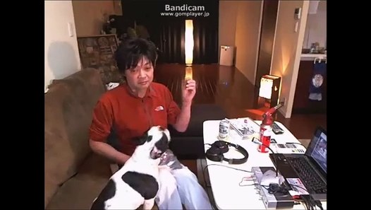 ウナちゃんマン かわいい犬部長さんからのkp ニコ生 動画 Dailymotion