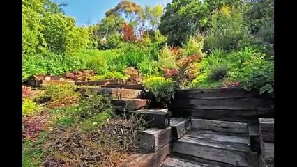 Идеи дизайна для сада