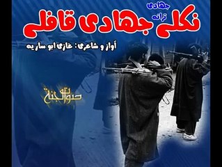 Nikly hn jehadi kafly