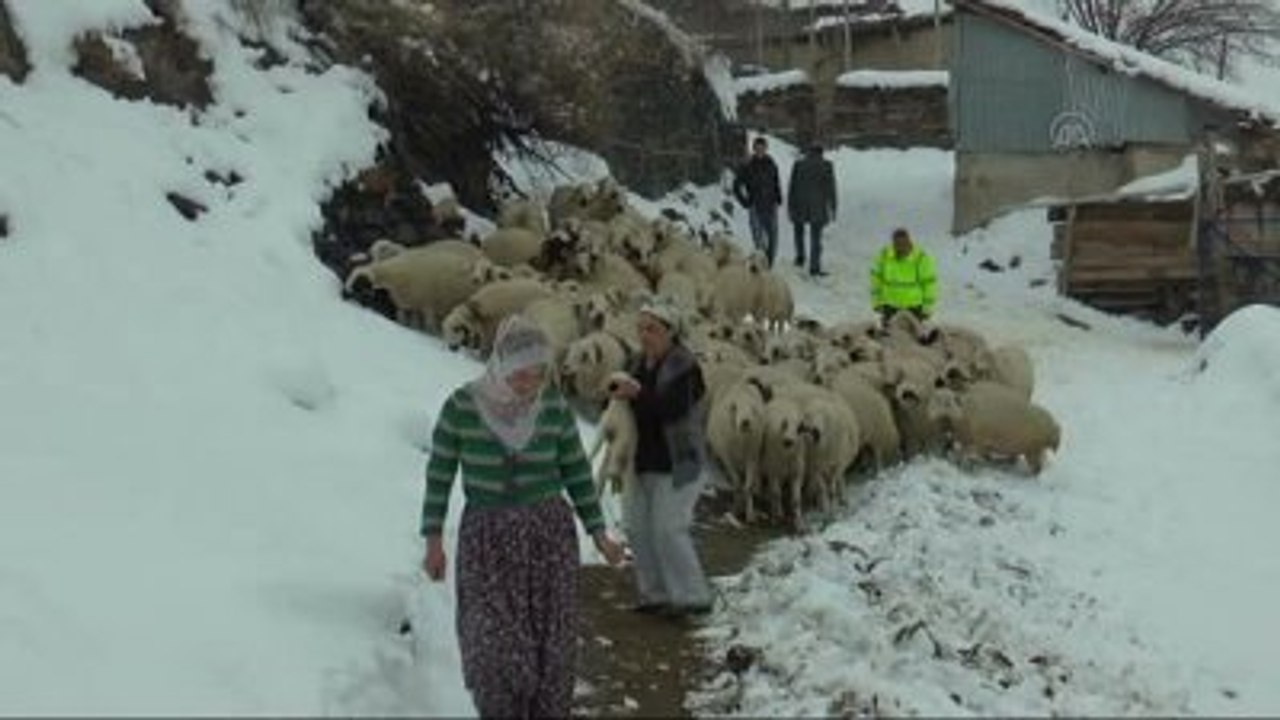 Ette Tavan Fiyat Hem Üretici Hem Tüketici Lehine"