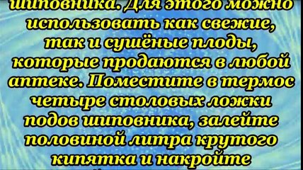 Как вырастить чайный гриб из шиповника