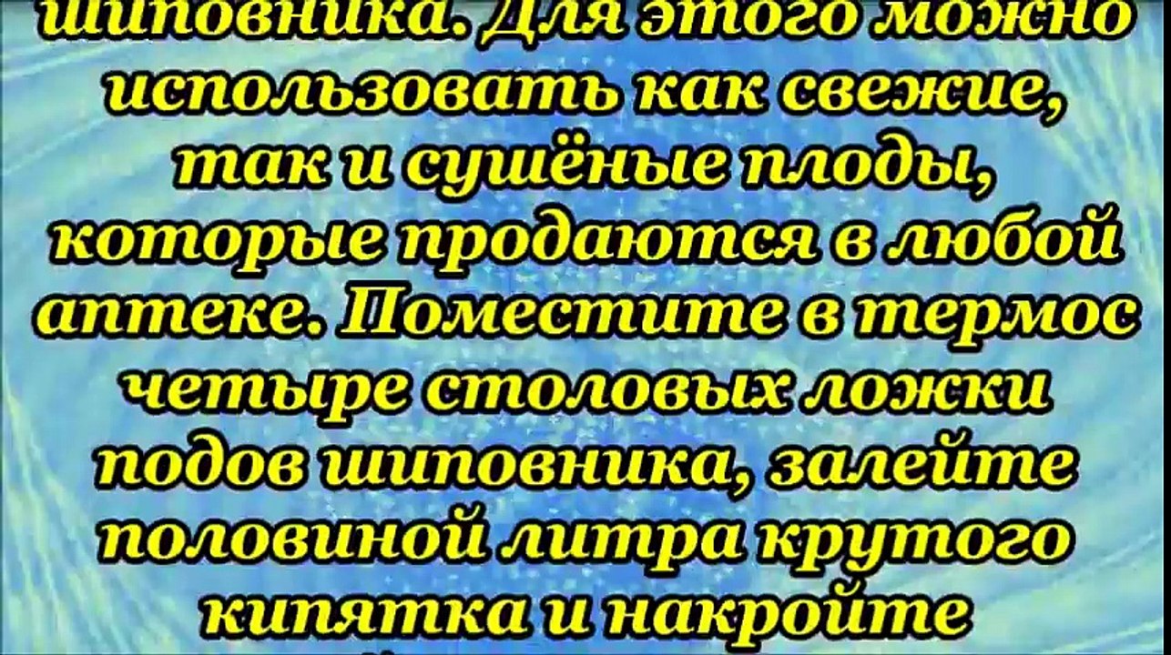 Как вырастить чайный гриб из шиповника