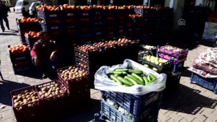 Gap'ın Başkenti" Sebze Meyve İhracatını 4'e Katladı