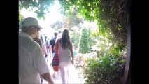 Singapore Botanic Gardens Orchid Garden Tourists Admiring Garden