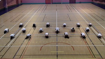 FLASHMOB UNSS 2016 Collège La Platière Thizy