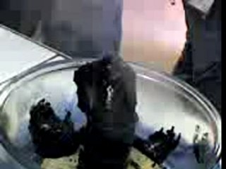 Experience sur l'effet de l'acide sulfurique sur le sucre
