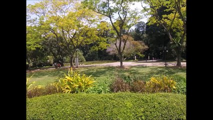 Singapore Botanic Gardens Walking Towards Orchid Garden