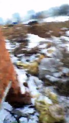 Александр Бон (shponks) on Periscope [2016-02-13 14-30] Untitled