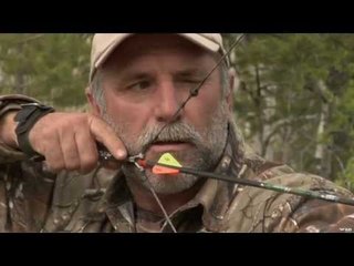 Hunting Big Black Bear with Bow