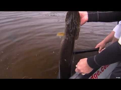 Fishing for Northern Pike On Milton Lake