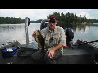 Bass & Roostertail Pike Fishing