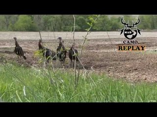 Turkeys and Tornadoes Part 1