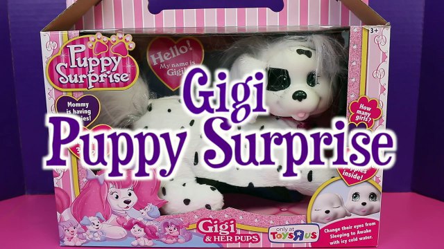 puppy surprise names