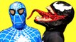 Blue Spiderman vs Venom in Real Life! Spider-man Battles Venom Superhero Movie (1080p)