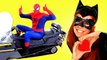 Spiderman vs Catwoman vs Batman in Real Life! Catwoman Kidnaps Batman -  Fun Superhero Movie _) (1080p)