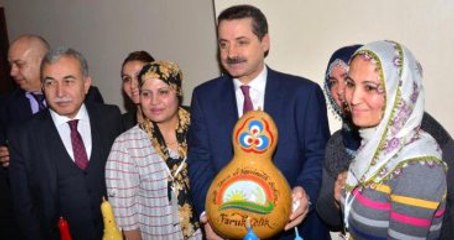 Bakan Çelik: Düşürülen Uçağın Çiftçiyle Ne Alakası Var?