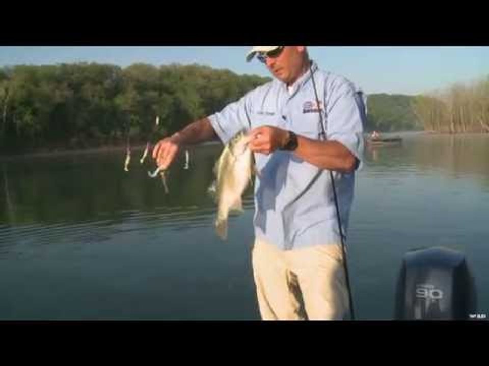 Bass Profishing With G3 Sportsman