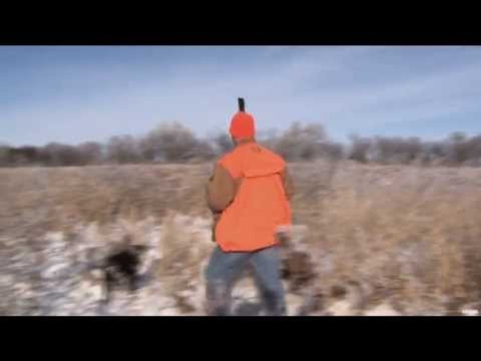 Late Season Roosters Hunt