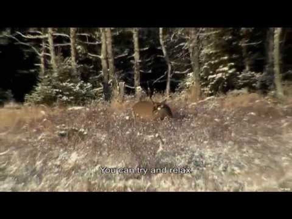 Deer hunting on Anticosti Island