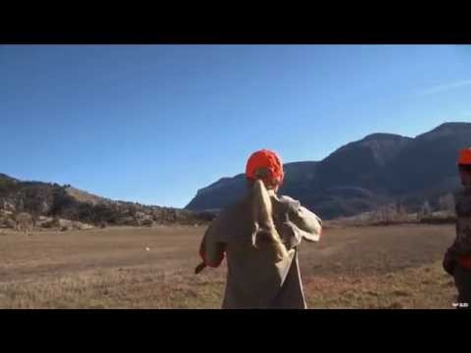Hunting Pheasant with Dogs in Colorado