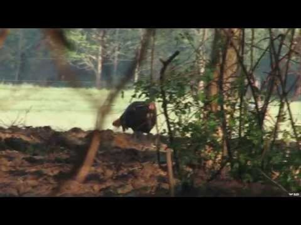Eastern Double Tap Indiana Turkey Day