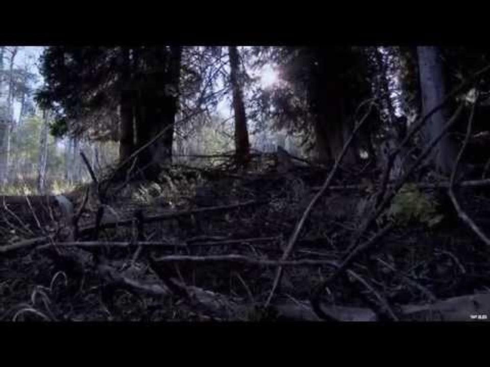 Up Close Elk Hunt
