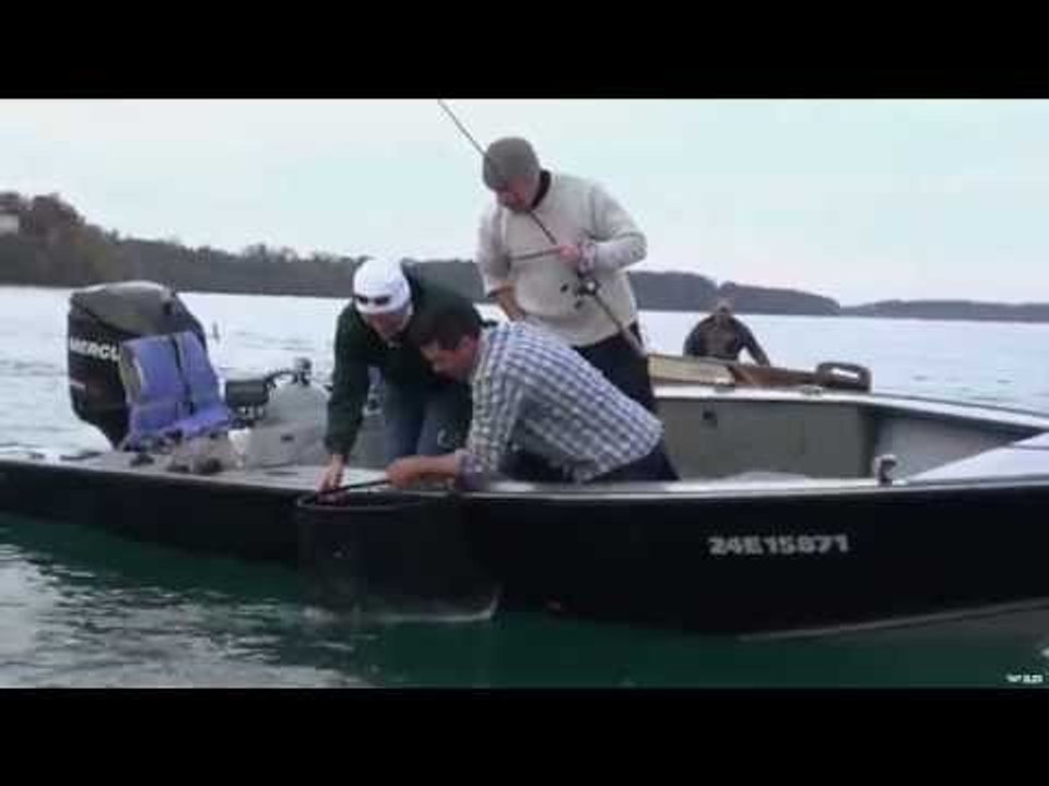 Niagara River Steel Head And Brown Trout