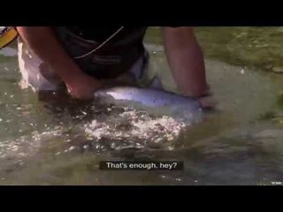 Fishing for Salmon in Quebec