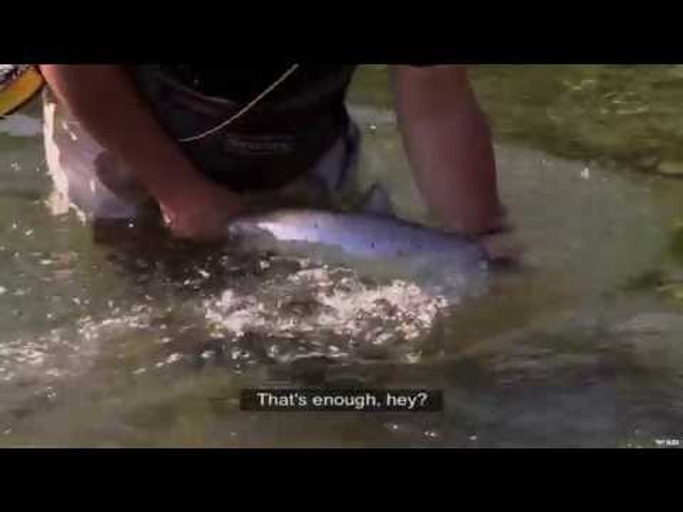 Fishing for Salmon in Quebec