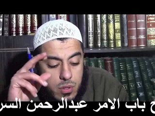 شرح باب الامر عبدالرحمن السروى