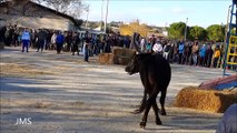 Encierro Bellegarde-ah c'est ballot!-aaaahhhh et le chien! 2016(Encierro 2016 Bellegarde. ah this is nerd! Aaaahhhh and the dog!)