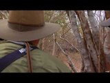 Hunting Elephants with Nosler's Magnum TV