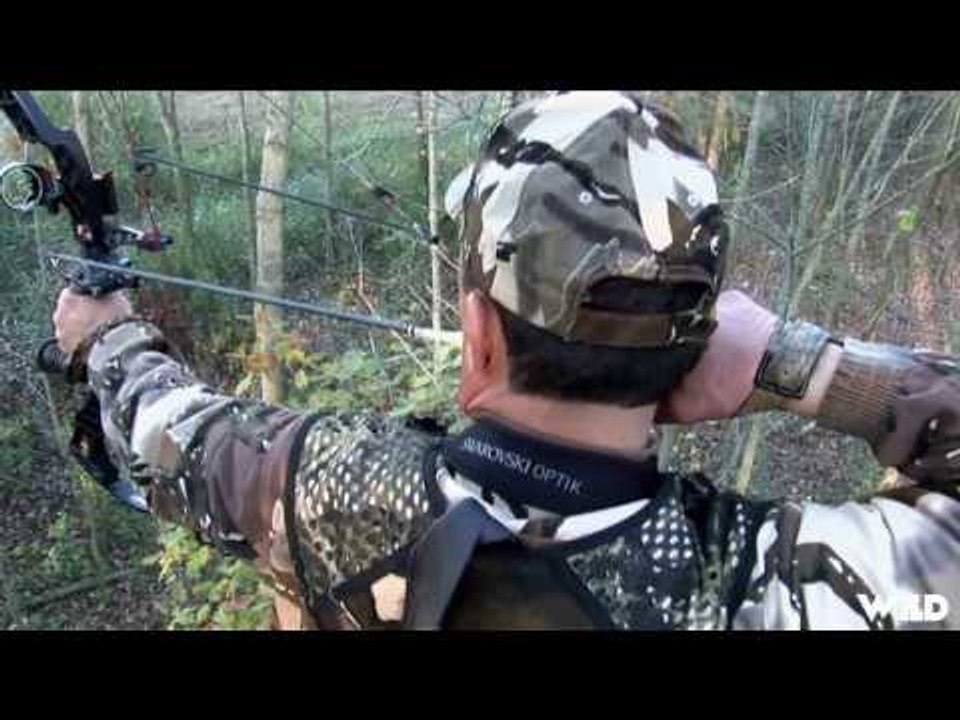 Whitetail Deer Bowhunting
