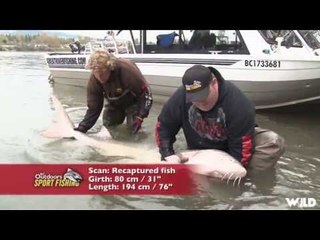 Fishing For Sturgeon in BC