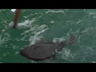 Fishing for Sockeye Salmon in BC